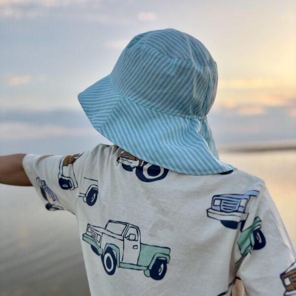 Helesiniste triipudega linane