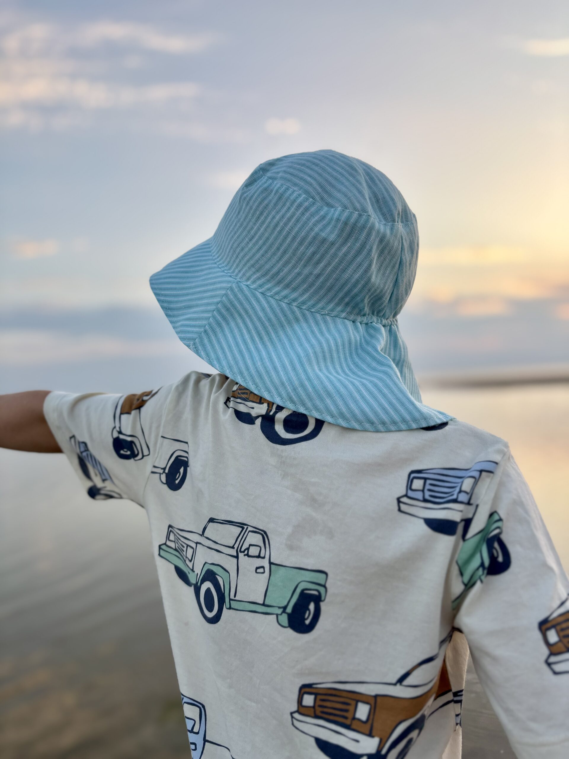 Helesiniste triipudega linane